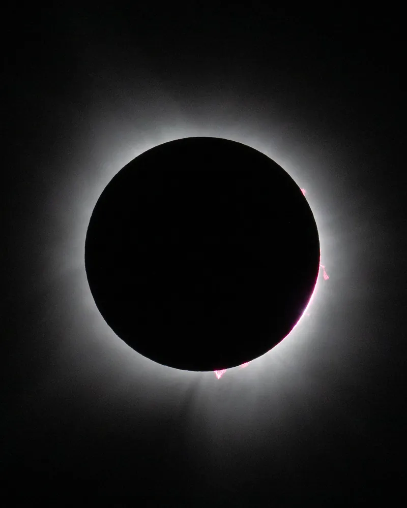 Disque noir de la Lune entouré de la couronne blanche du Soleil, bordée de petites protubérances roses