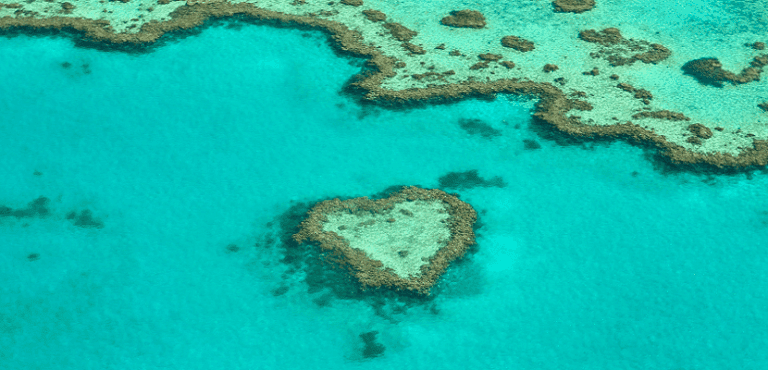 Récif de corail en forme de cœur dans un lagon turquoise, symbole des noces de corail