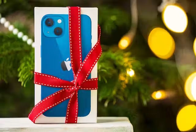 cadeau noel eco responsable 