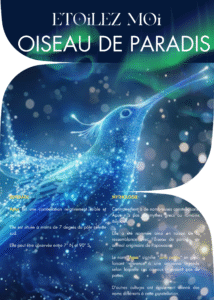 La constellation de l'Oiseau de Paradis