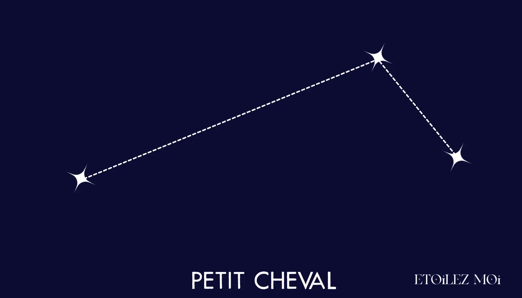 Tracé de la constellation du Petit Cheval près de Pégase et du Dauphin