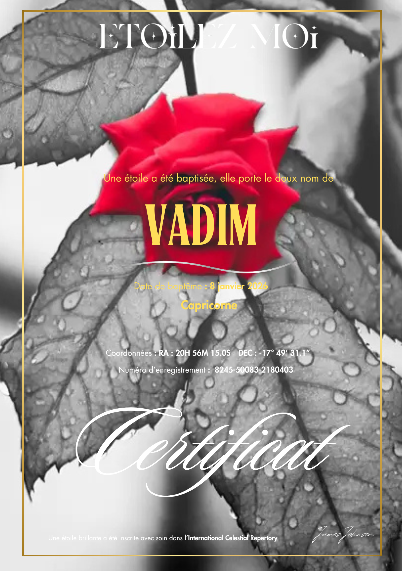 cadeau-enterrement-urgent-fille-certificat-encadre