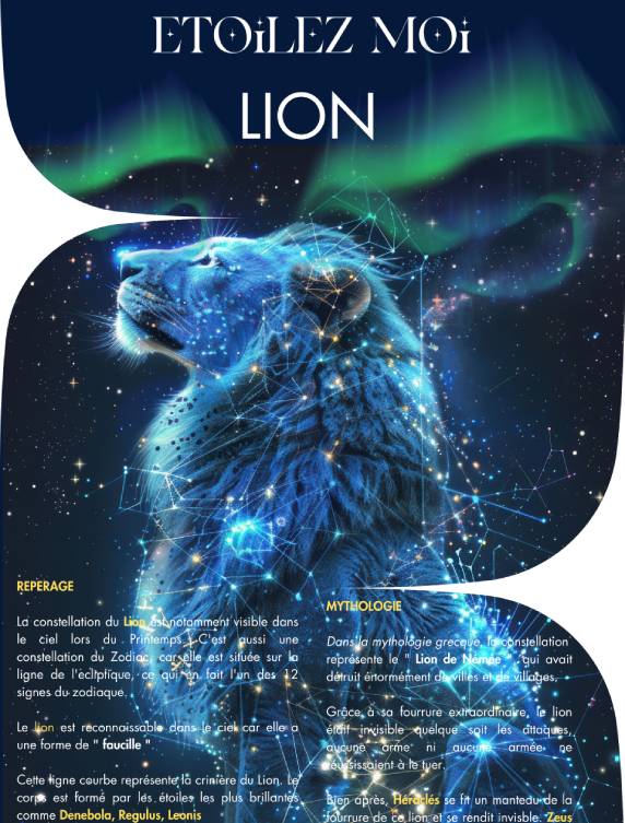 Fiche constellation du Lion coffret baptême d’étoile cadeau Noël dernière minute livraison rapide par email carte ciel étoilé