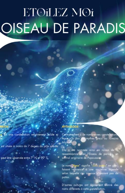 Fiche éducative de constellation incluse dans un cadeau Noël enfant dernière minute