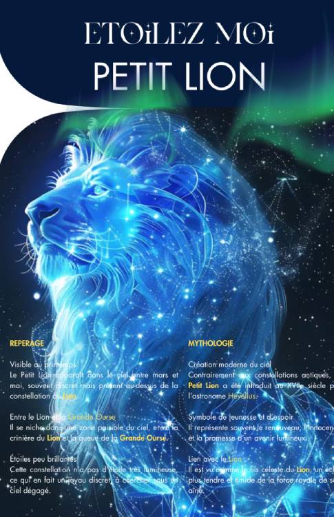 Cartes des constellations pour idée cadeau Noël papa original autour des étoiles