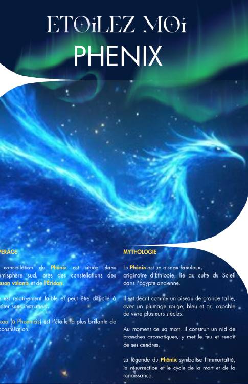 Fiche de constellation illustrée pour cadeau demande en mariage femme personnalisé