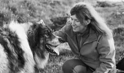 Femme caressant son colley dans un pré, photo en noir et blanc