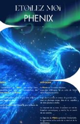 Fiche de la constellation du Phénix : oiseau de lumière bleue sous une aurore boréale