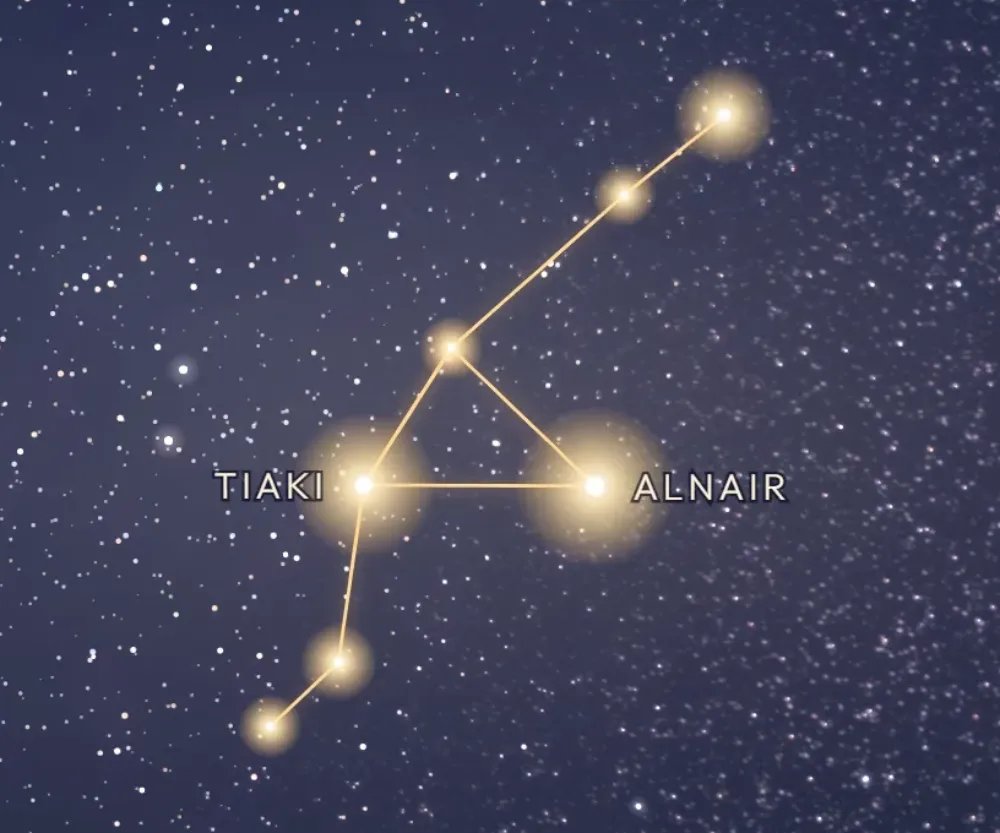 La constellation de la Grue tracée en or sur le ciel étoilé