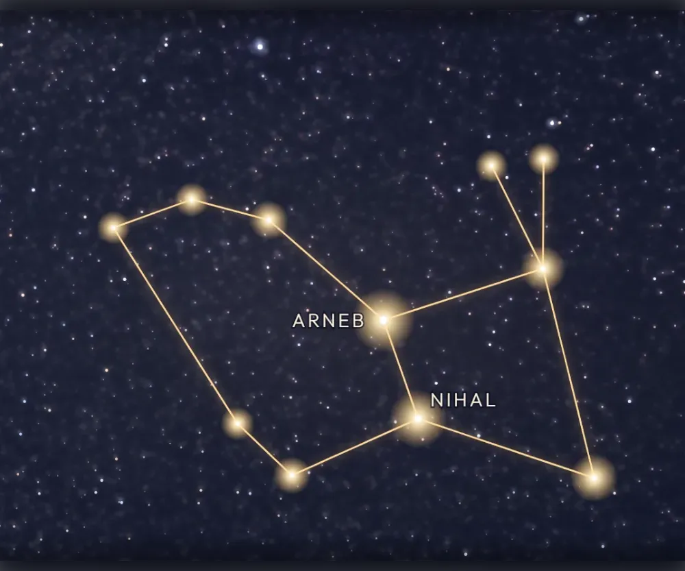 La constellation du Lièvre tracée en or sur le ciel étoilé
