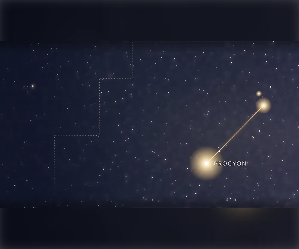 La constellation du Petit Chien tracée en or sur le ciel étoilé