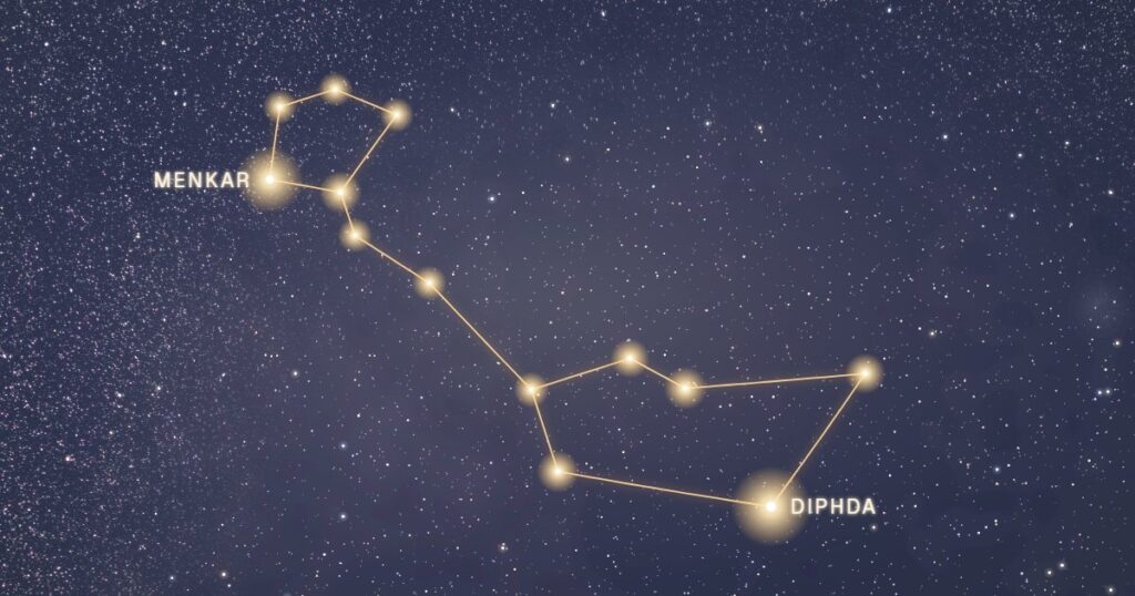 Constellation de la Baleine tracée en or sur fond de ciel étoilé, avec Diphda et Menkar