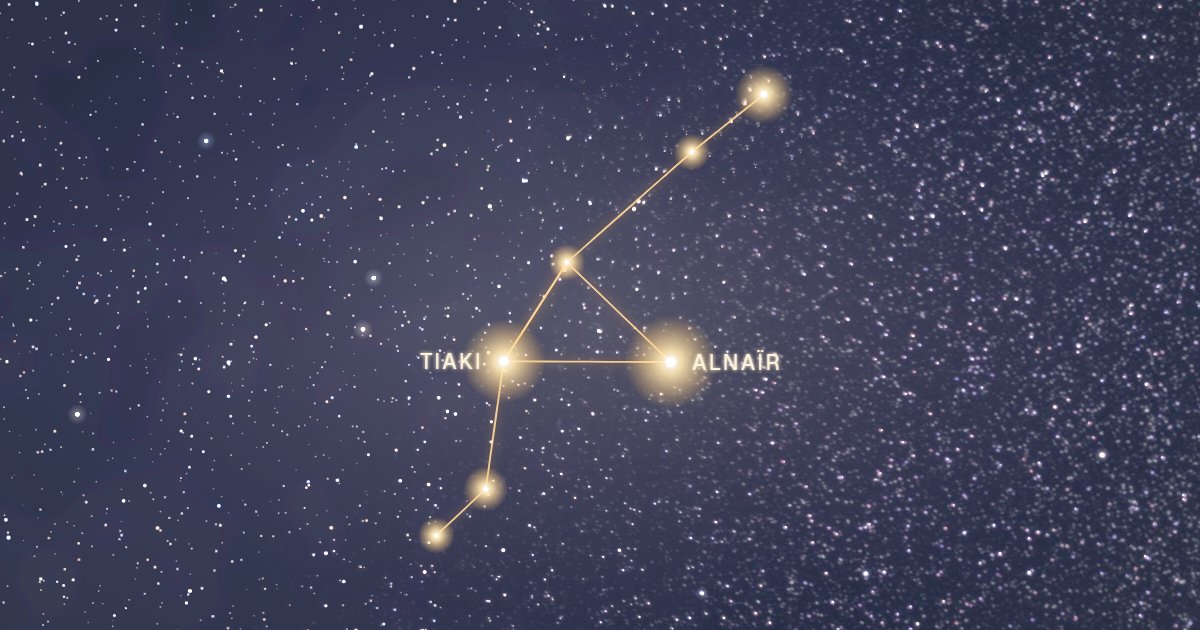La constellation de la Grue reliée par un trait d’or sur fond de ciel étoilé, avec Alnaïr et Tiaki