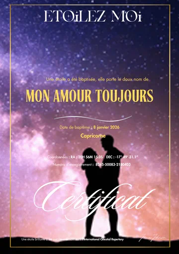Certificat de baptême d’étoile de la Saint-Valentin, modèle 4 sur 6
